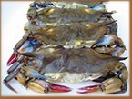 Steamed Crabs