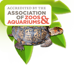 Accredited by the ASSOCIATION OF ZOOS & AQUARIUMS